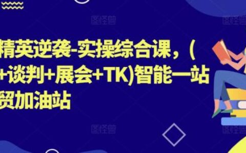 外貿大表姐：外貿團隊必修課(拓客+談判+展會+TK+智能一站式外貿加油）